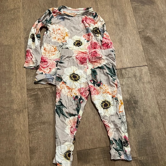 Posh Peanut Other - EUC Posh peanut pajamas size 6-12 mo